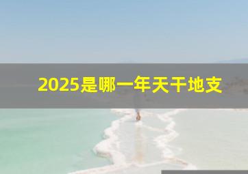 2025是哪一年天干地支