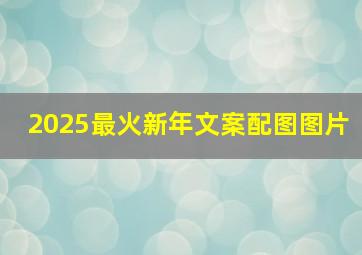 2025最火新年文案配图图片