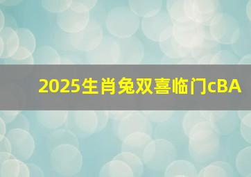 2025生肖兔双喜临门cBA