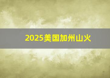 2025美国加州山火