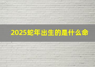 2025蛇年出生的是什么命