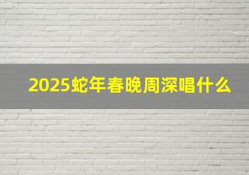 2025蛇年春晚周深唱什么