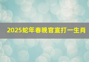 2025蛇年春晚官宣打一生肖