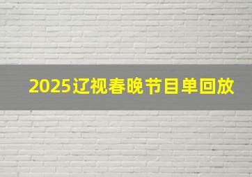 2025辽视春晚节目单回放