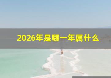 2026年是哪一年属什么