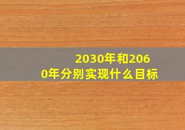 2030年和2060年分别实现什么目标