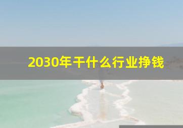 2030年干什么行业挣钱