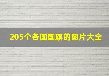 205个各国国旗的图片大全