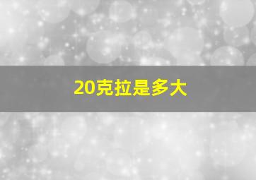 20克拉是多大