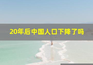 20年后中国人口下降了吗