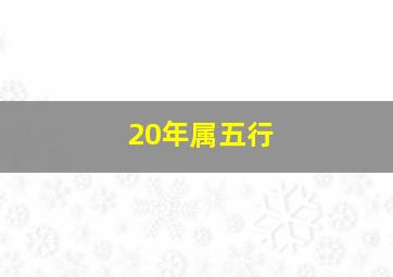 20年属五行