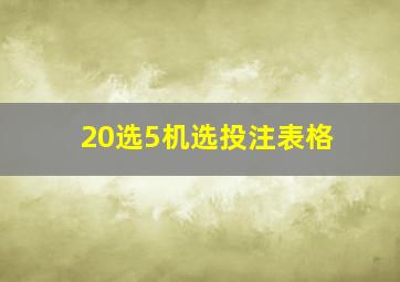 20选5机选投注表格