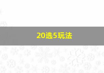 20选5玩法