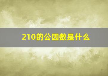 210的公因数是什么