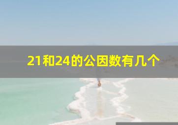 21和24的公因数有几个