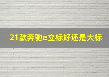 21款奔驰e立标好还是大标