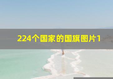 224个国家的国旗图片1