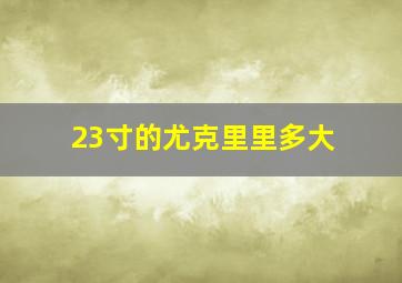 23寸的尤克里里多大