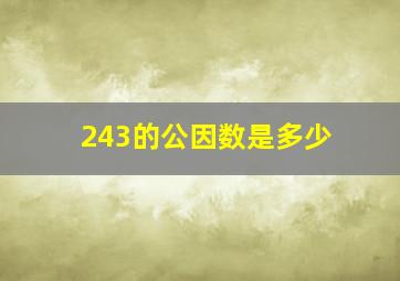 243的公因数是多少