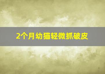 2个月幼猫轻微抓破皮