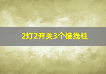 2灯2开关3个接线柱