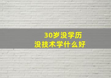 30岁没学历没技术学什么好