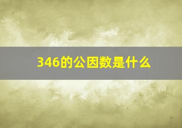 346的公因数是什么