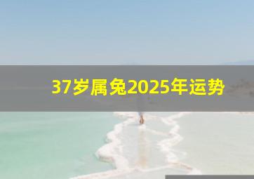 37岁属兔2025年运势