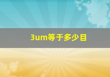 3um等于多少目