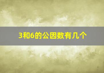 3和6的公因数有几个