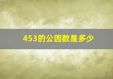 453的公因数是多少