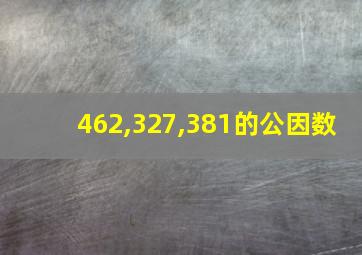 462,327,381的公因数