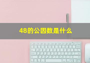 48的公因数是什么