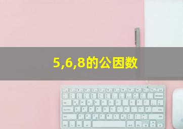 5,6,8的公因数