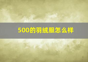 500的羽绒服怎么样