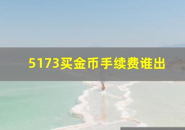 5173买金币手续费谁出