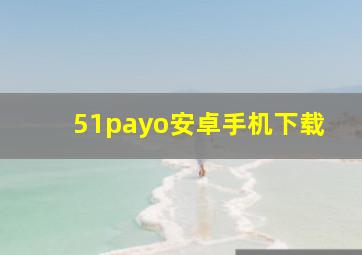 51payo安卓手机下载