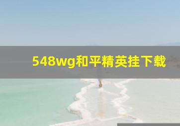 548wg和平精英挂下载