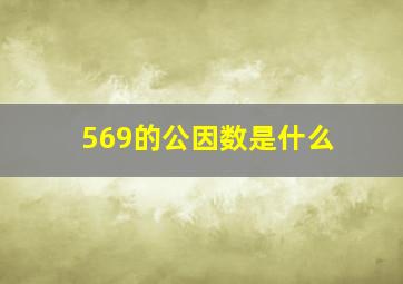 569的公因数是什么