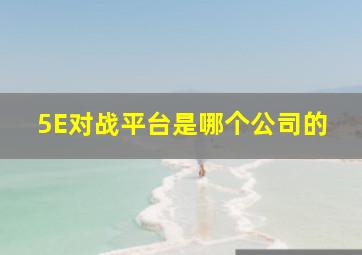 5E对战平台是哪个公司的