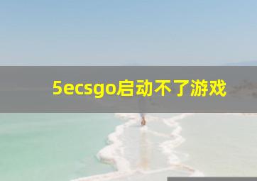 5ecsgo启动不了游戏