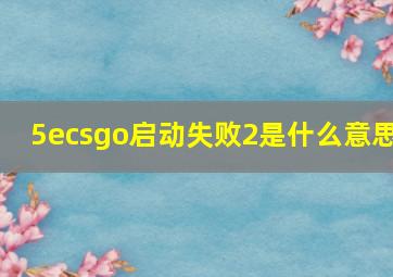 5ecsgo启动失败2是什么意思