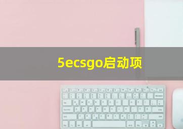 5ecsgo启动项