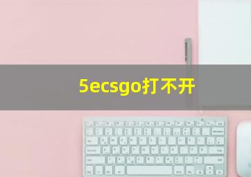 5ecsgo打不开