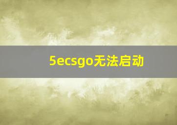 5ecsgo无法启动