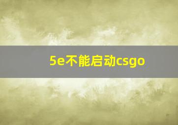 5e不能启动csgo