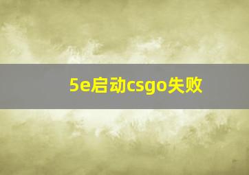 5e启动csgo失败