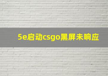 5e启动csgo黑屏未响应