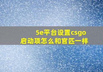 5e平台设置csgo启动项怎么和官匹一样