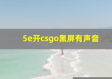 5e开csgo黑屏有声音